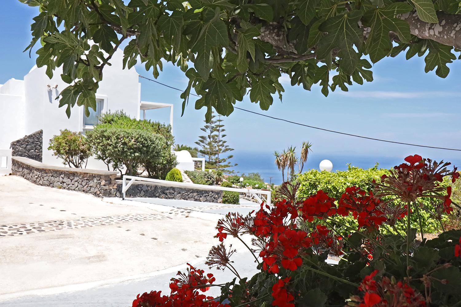 Phaos Santorini Suites อิเมโรวิยอน ภายนอก รูปภาพ