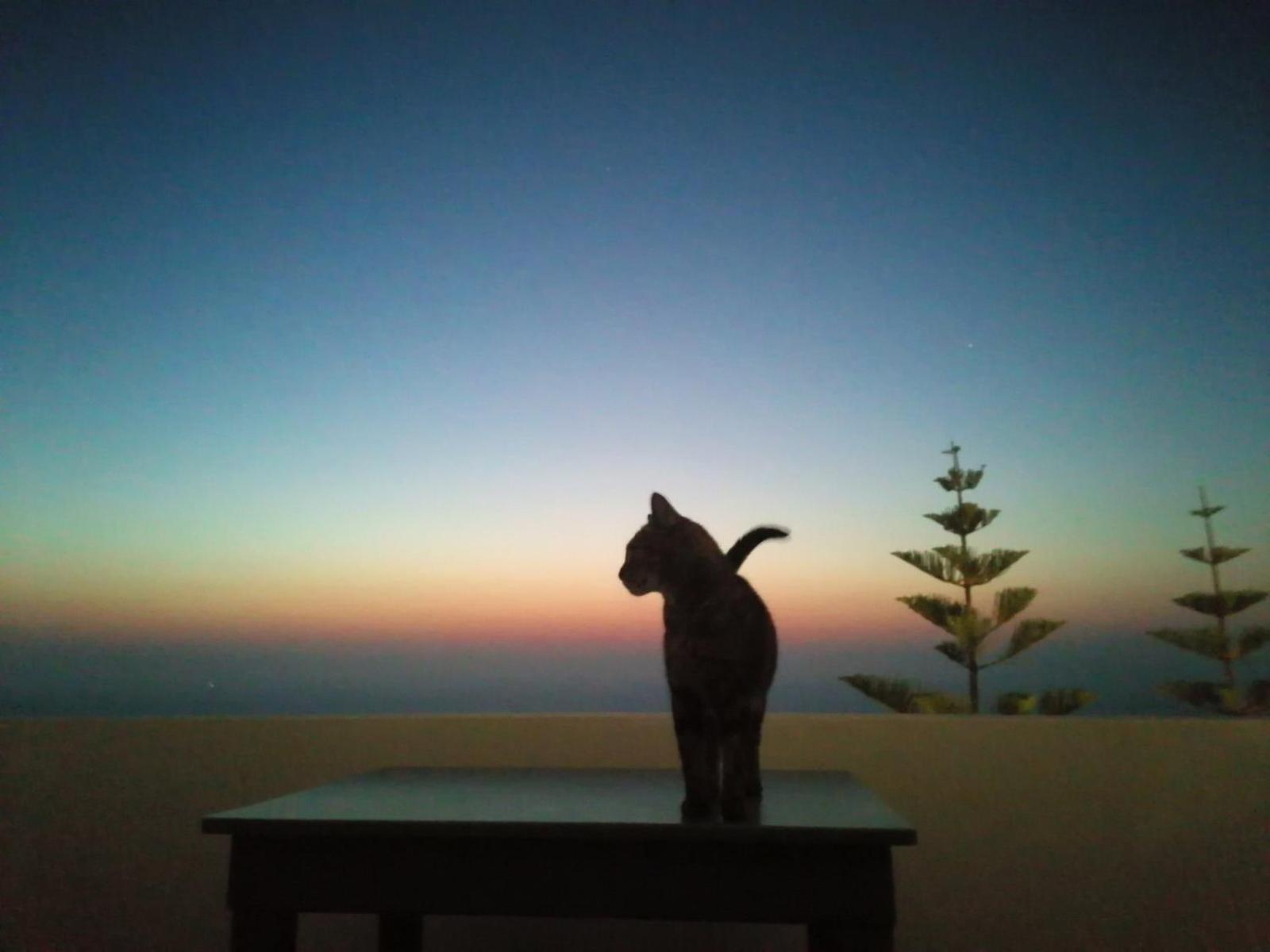 Phaos Santorini Suites อิเมโรวิยอน ภายนอก รูปภาพ